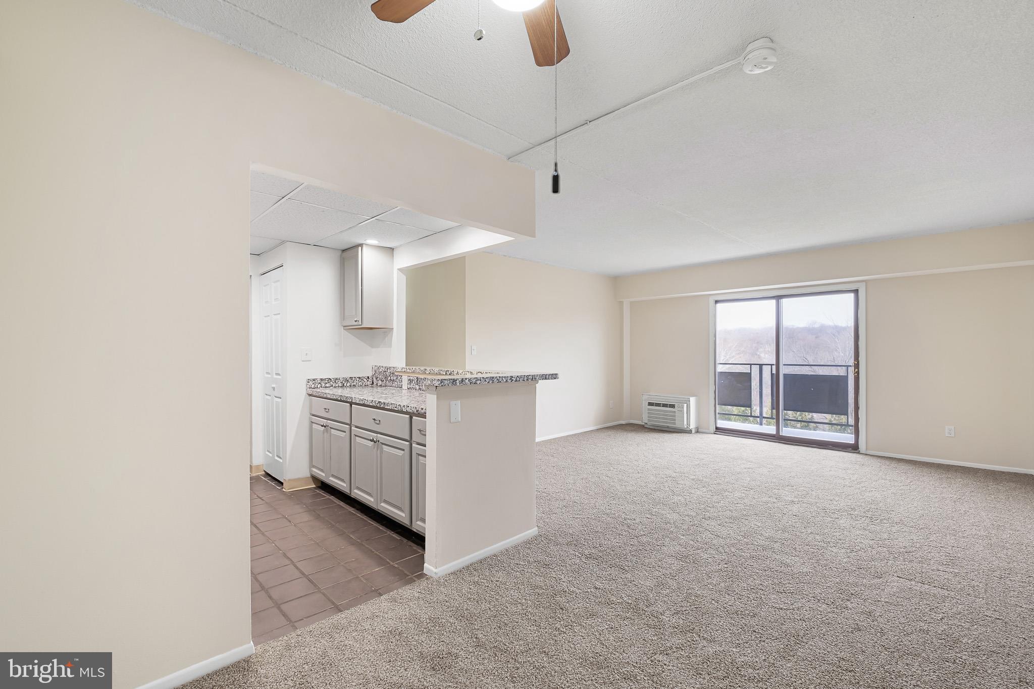 27603 VALLEY RUN DRIVE 603