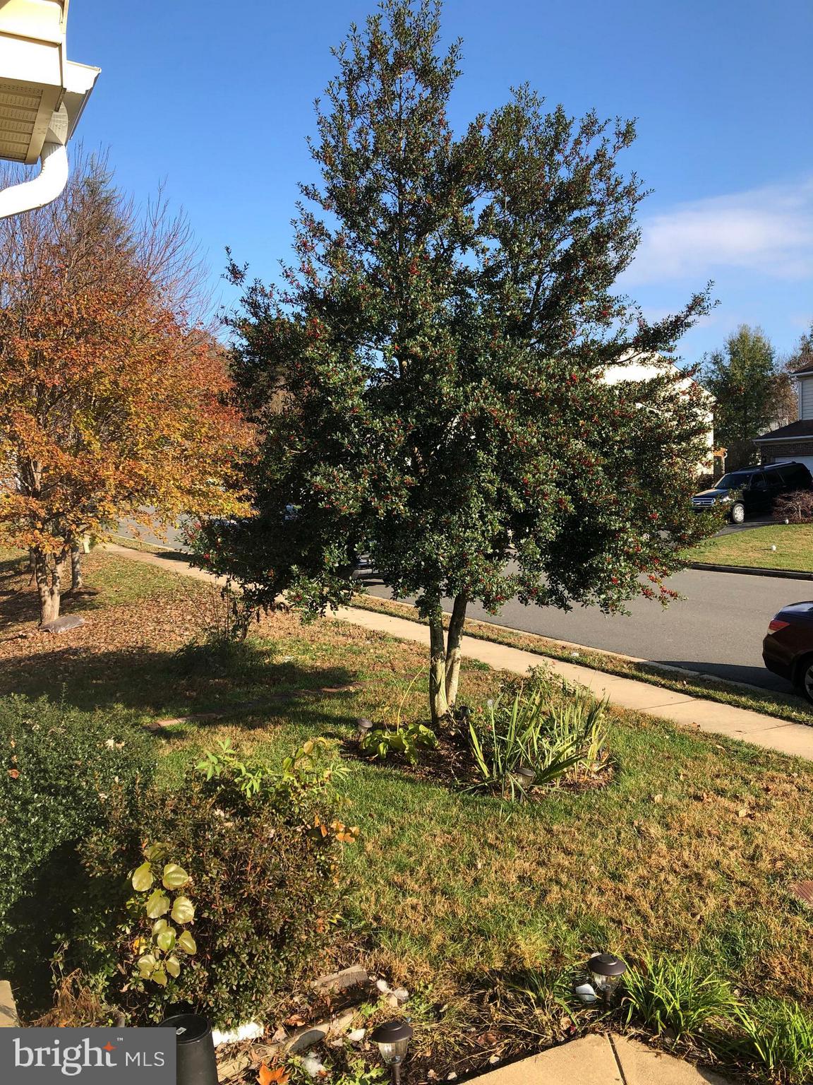 DALE CITY - Residential Lease