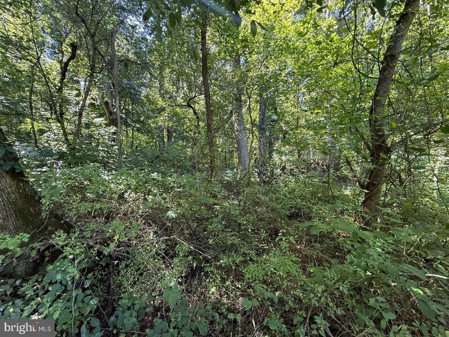 Lot A6 HARRIS DRIVE