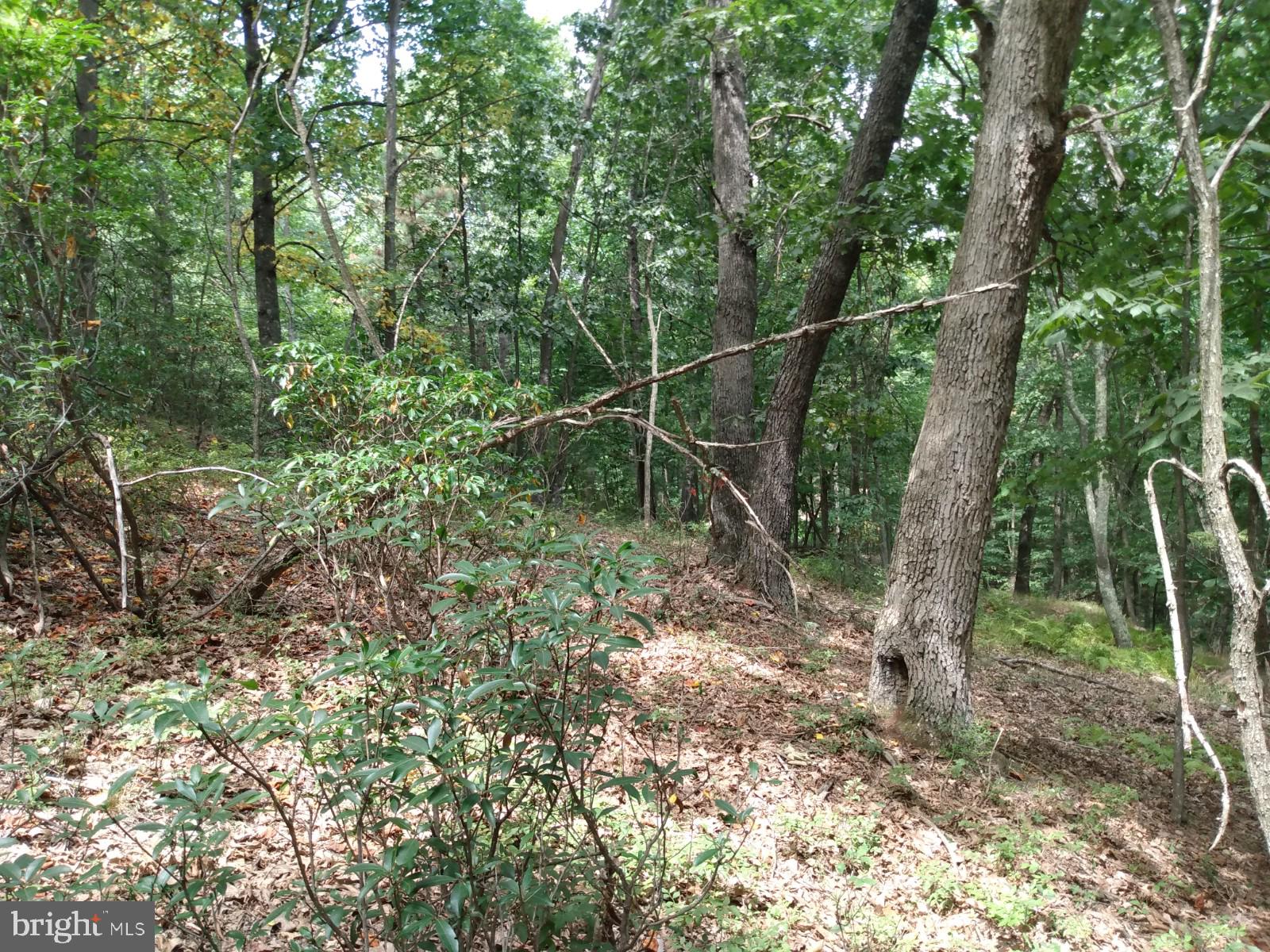 VALLEY HIGH TIMBER FARMS - Land