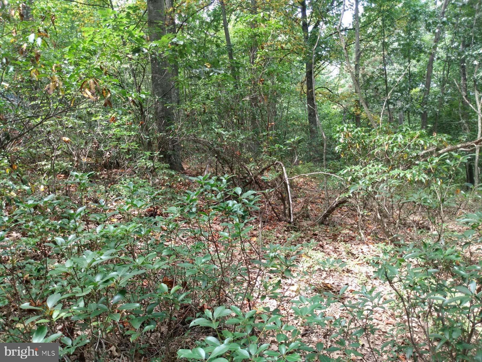 VALLEY HIGH TIMBER FARMS - Land