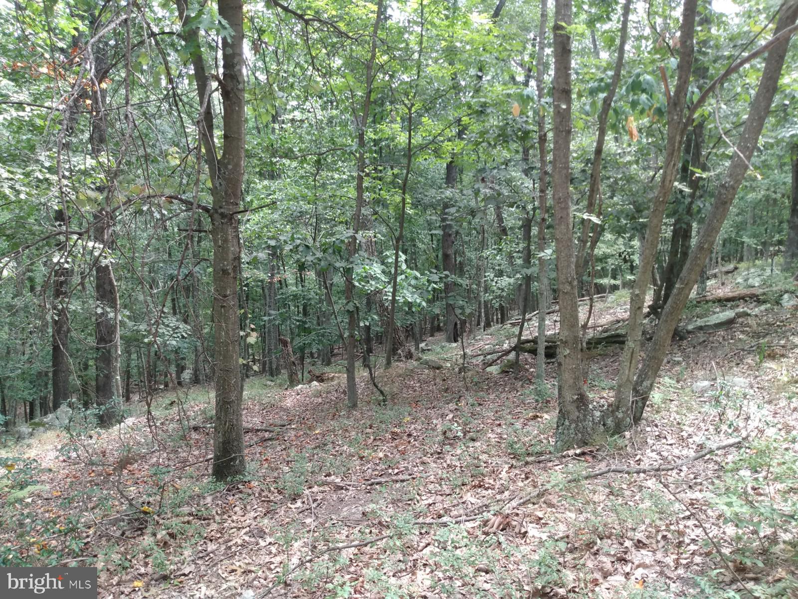 VALLEY HIGH TIMBER FARMS - Land