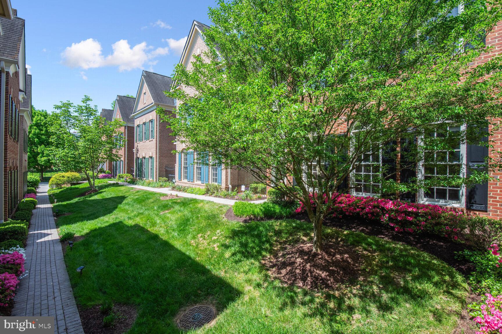 CHEVY CHASE MEWS - Residential