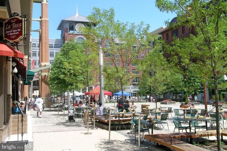 FITZ AT ROCKVILLE TOWN C - Residential