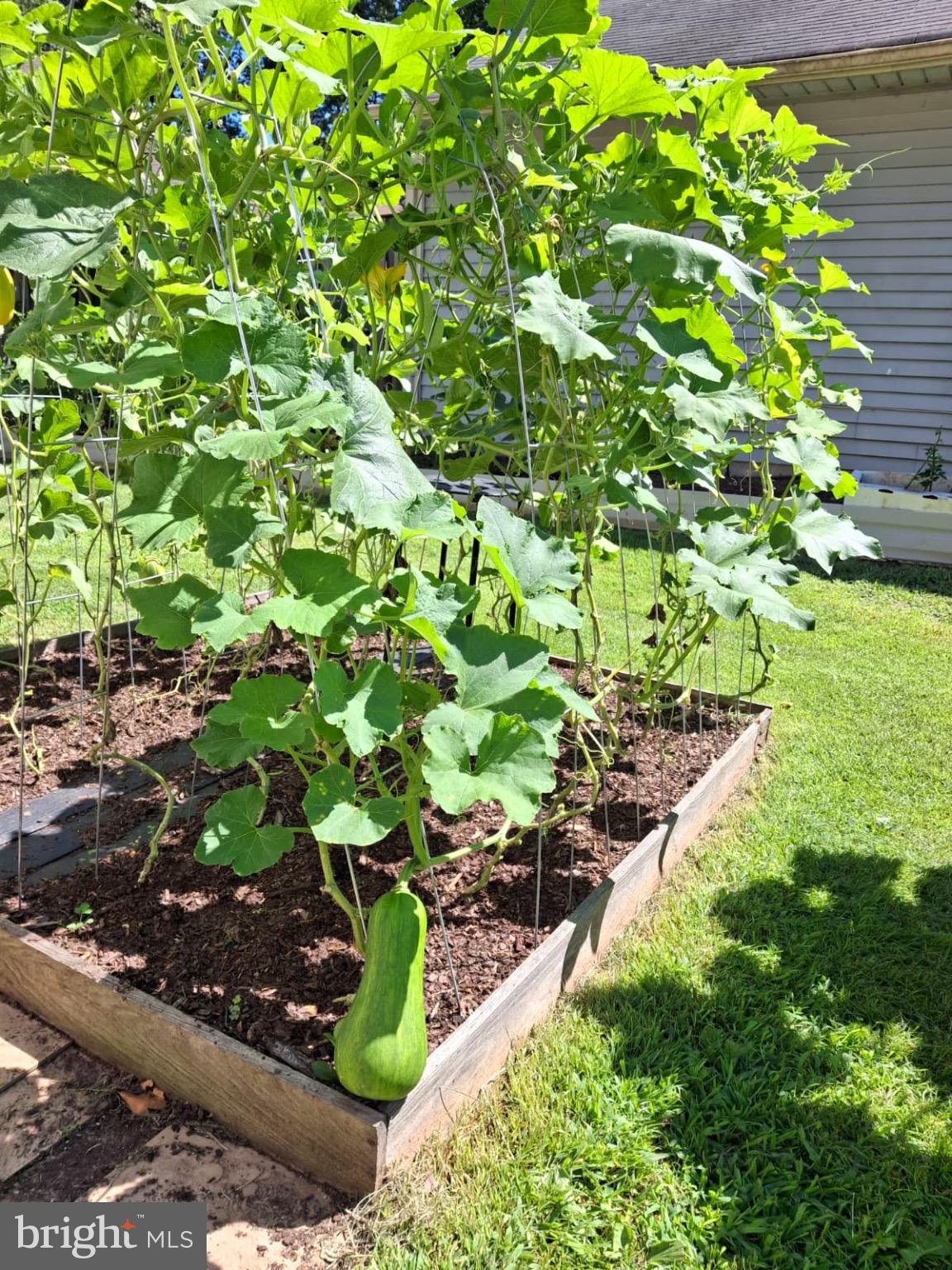 VILLAGES OF MARLBOROUGH - Residential