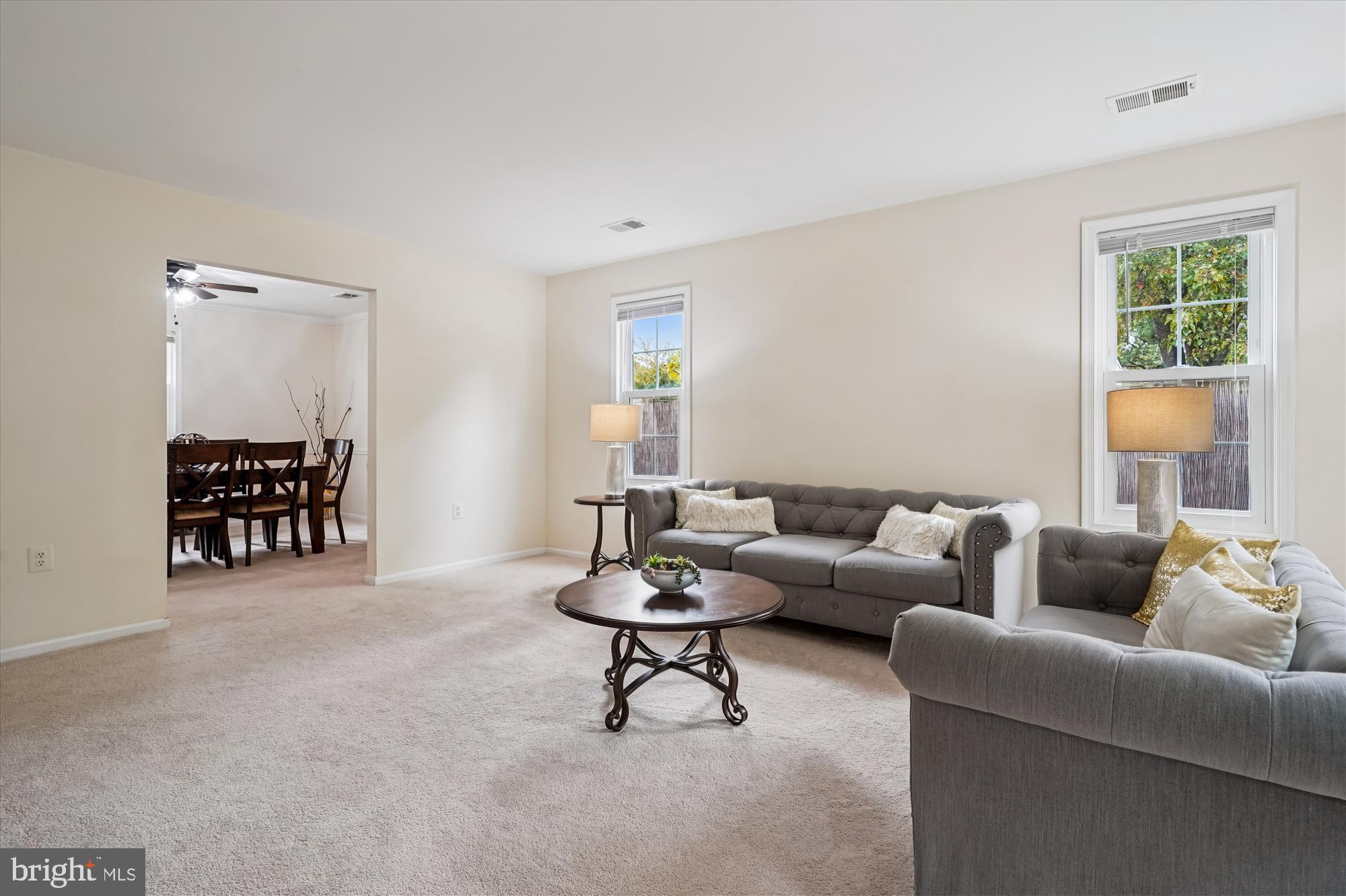 VILLAGES OF MARLBOROUGH - Residential