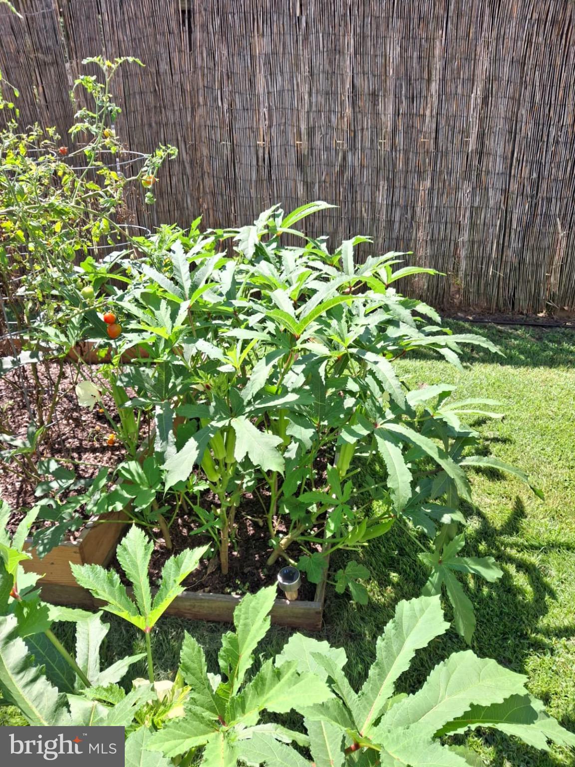 VILLAGES OF MARLBOROUGH - Residential