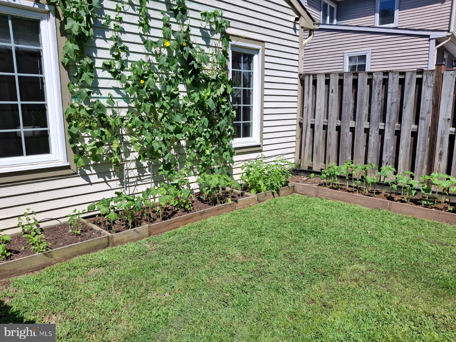 VILLAGES OF MARLBOROUGH - Residential