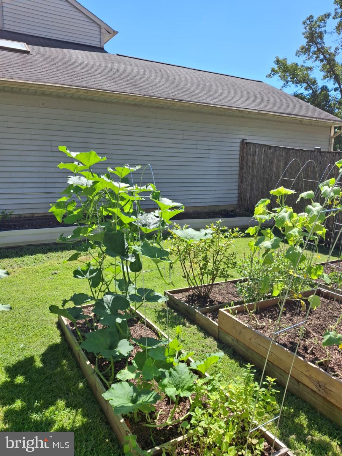 VILLAGES OF MARLBOROUGH - Residential