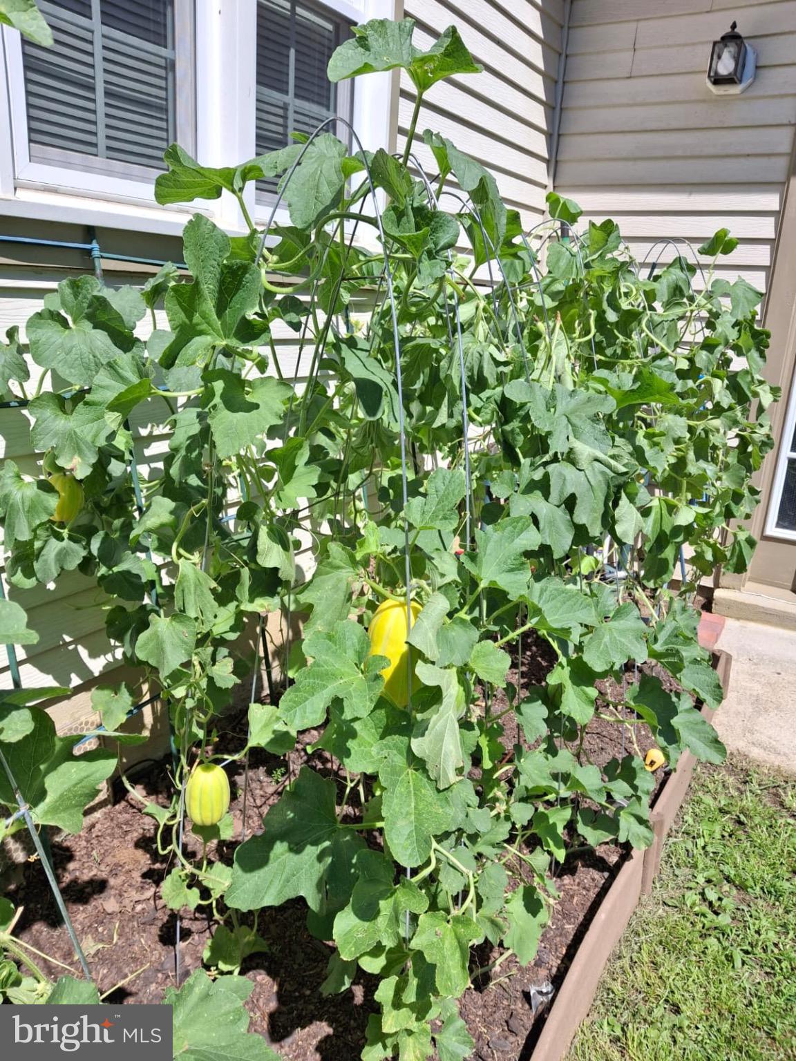 VILLAGES OF MARLBOROUGH - Residential