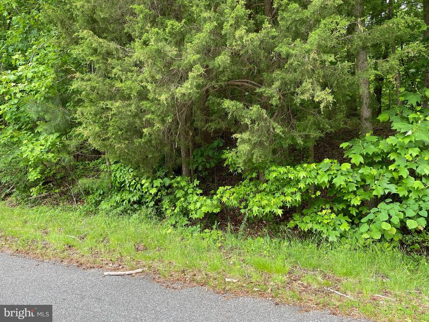 Nice wooded lot located in a well sought after waterfront community.  Great place to build your home with all of the amenities of Stratford Harbour.  Only members have access to beaches on the lake & marina on the Potomac River.  Owner financing available with negotiable terms.