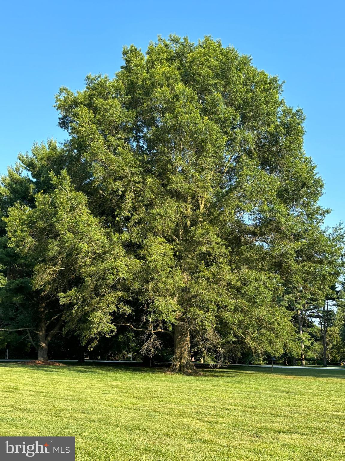 BAILEYS NECK - Residential