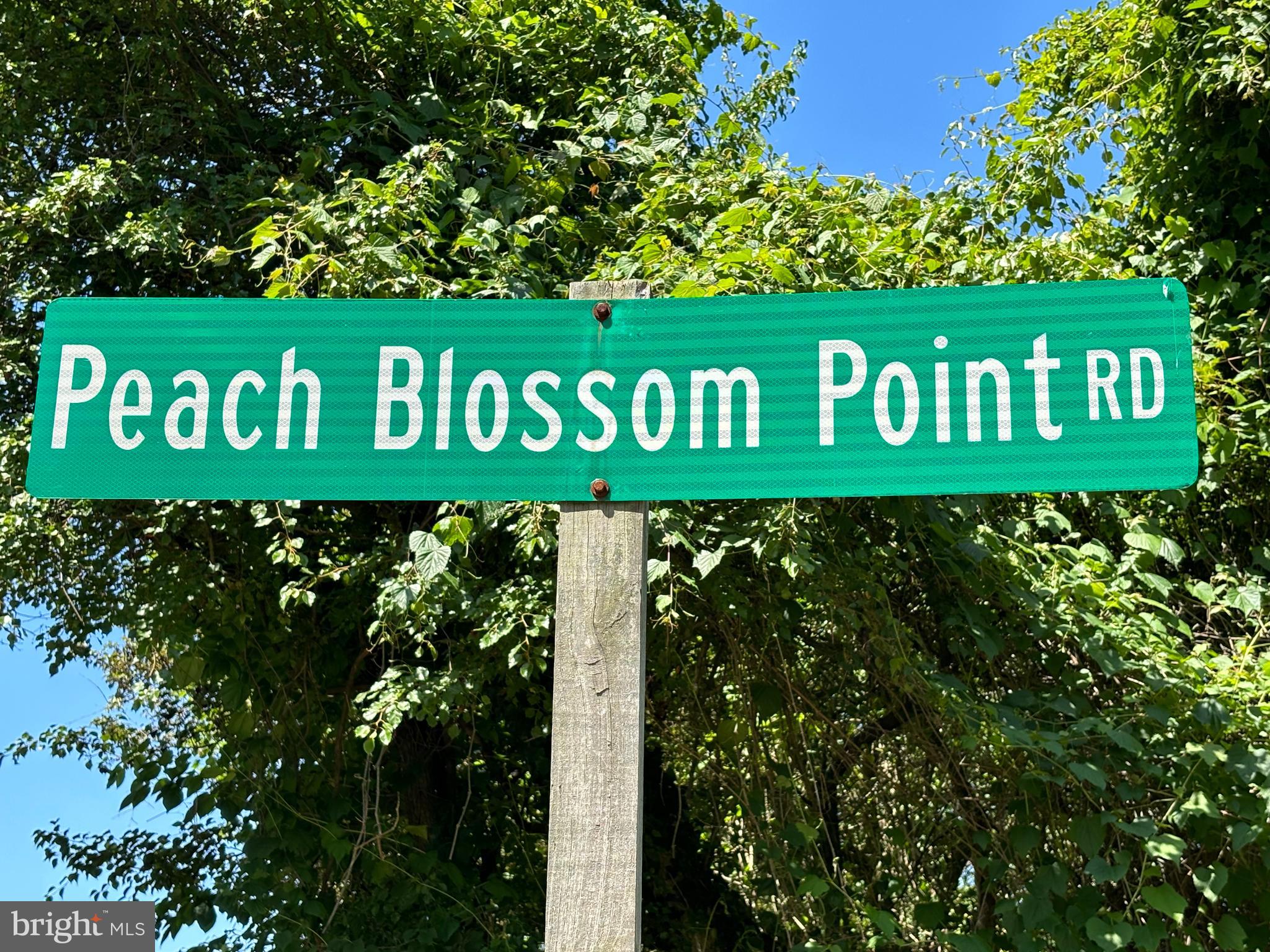 BAILEYS NECK - Residential