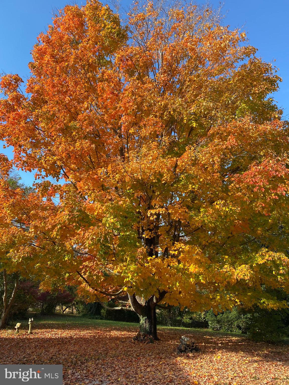 BAILEYS NECK - Residential