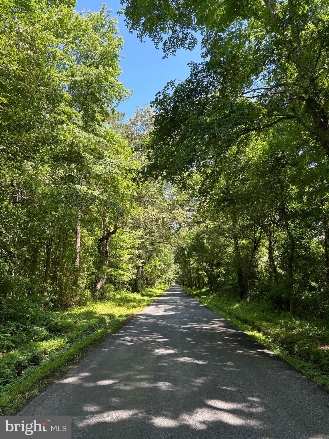 BAILEYS NECK - Residential