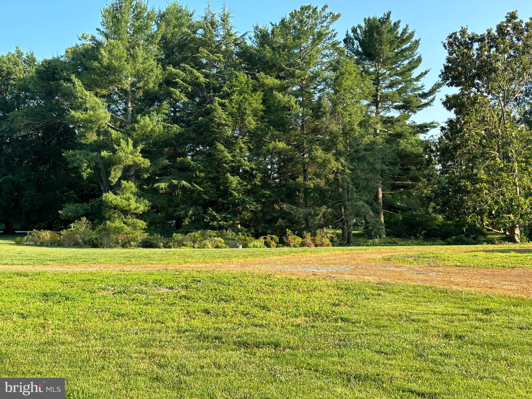 BAILEYS NECK - Residential