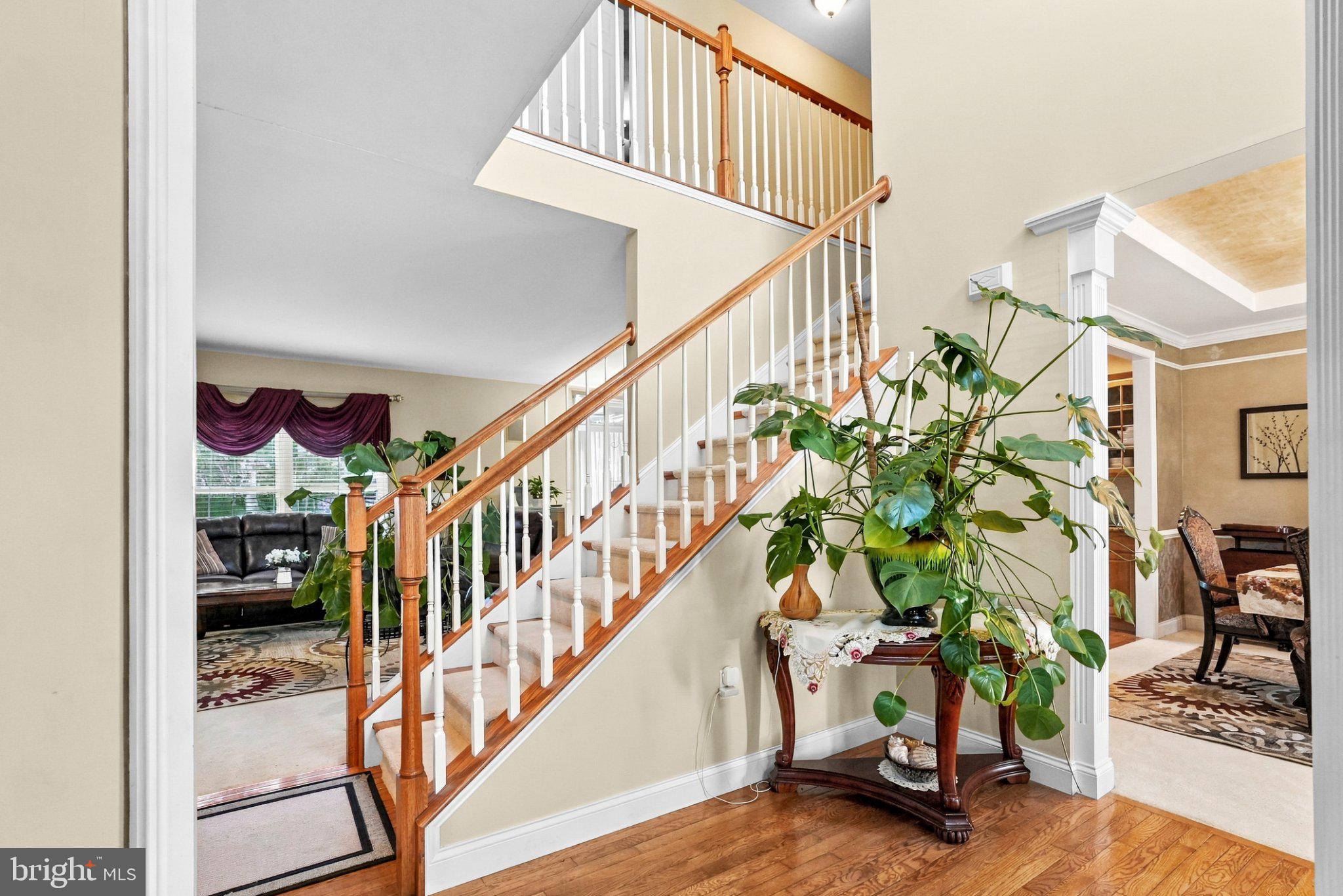 710 YANKEE LANE
