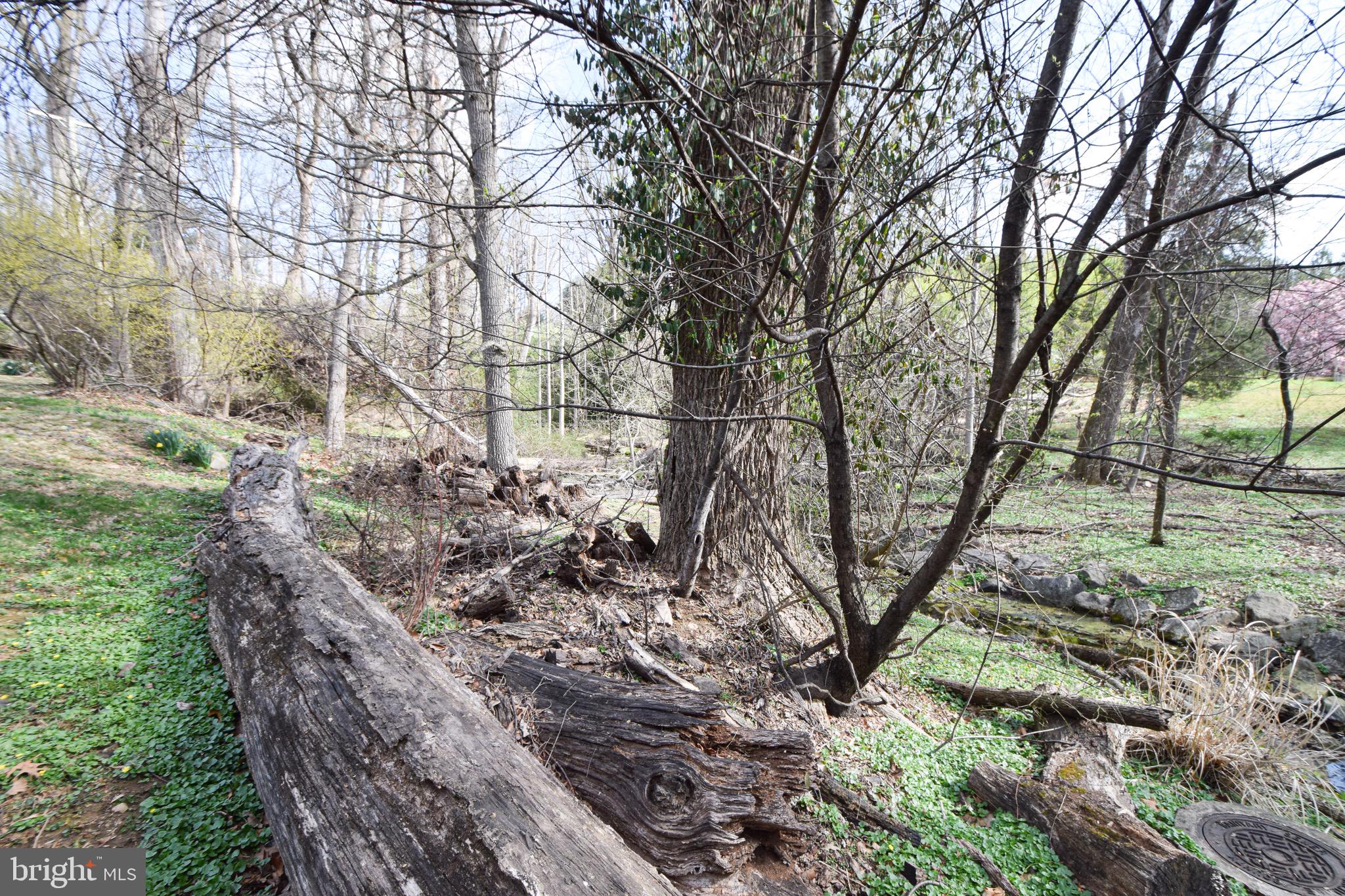 STRATFORD - Residential