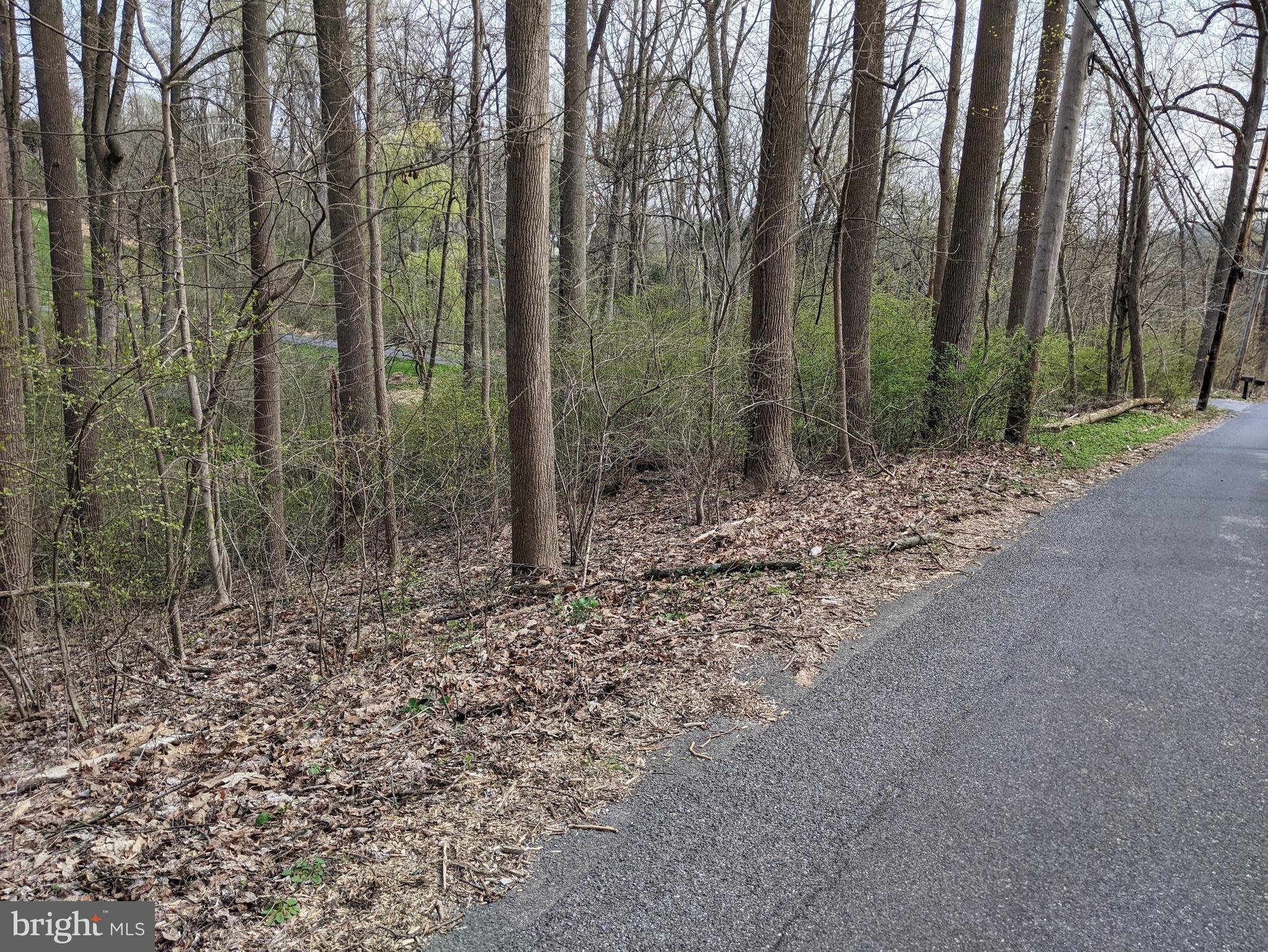 Lot 2 YELLOW SPRINGS ROAD