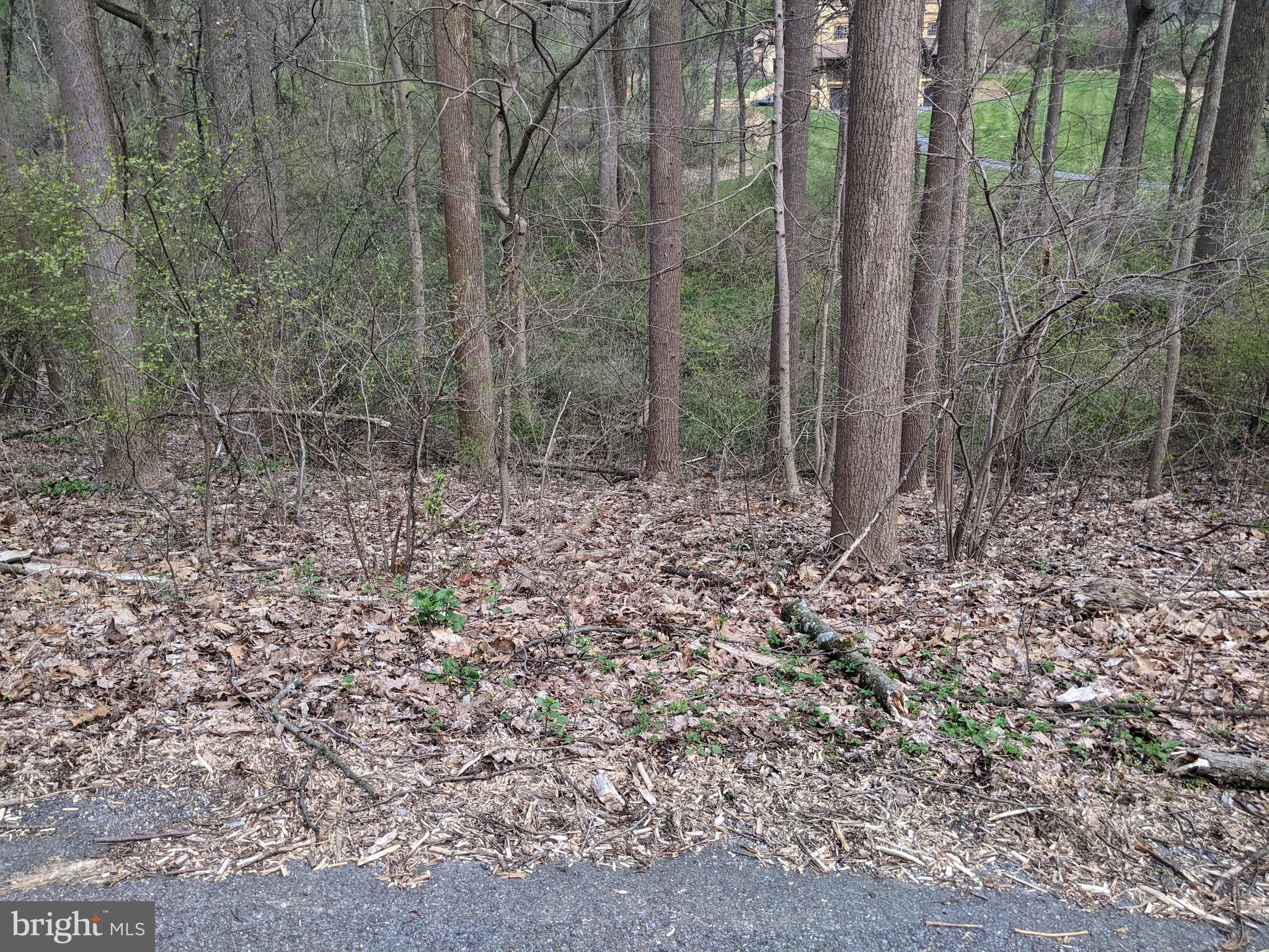 Lot 2 YELLOW SPRINGS ROAD