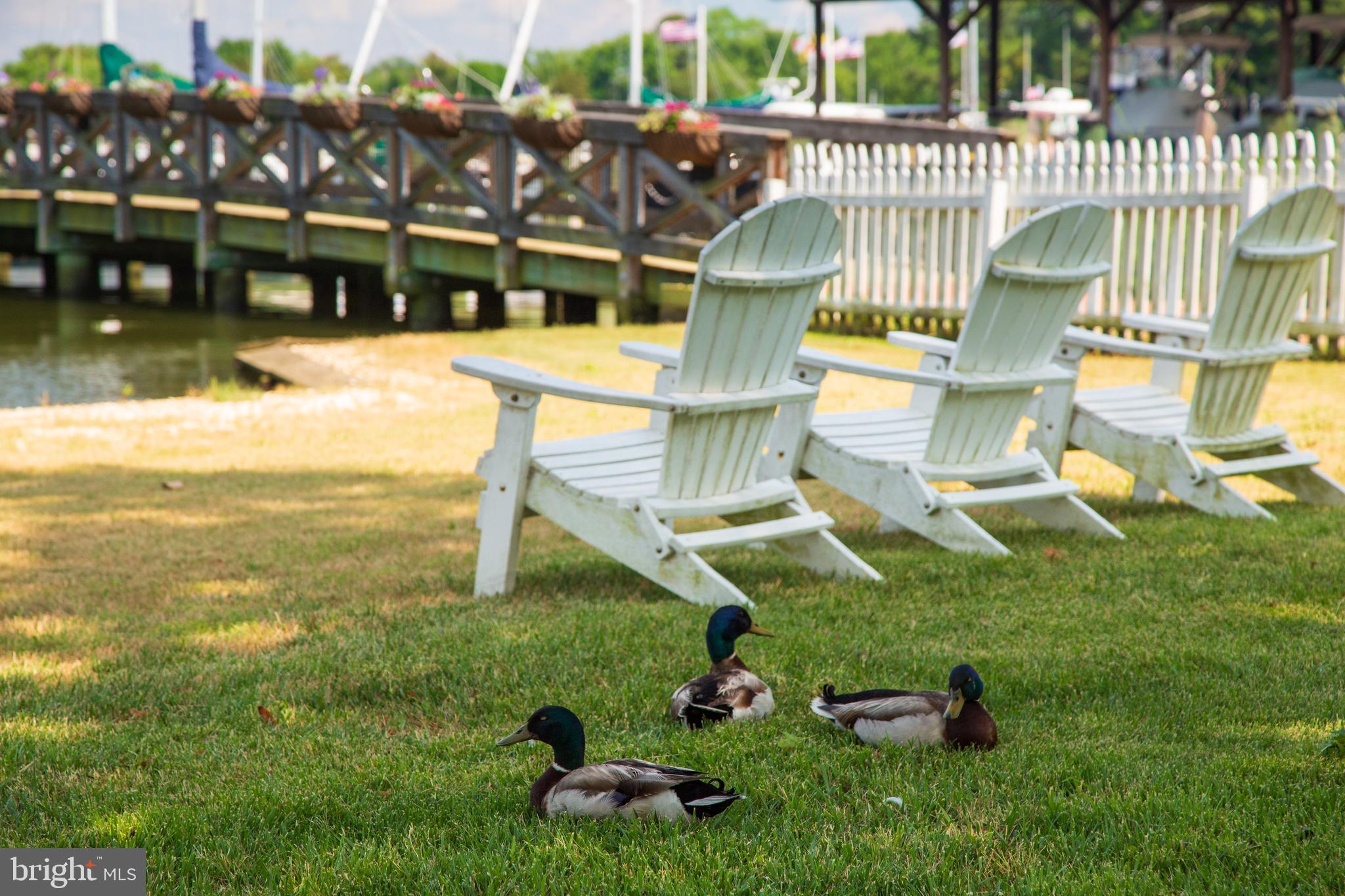 TALBOT COUNTY - Residential