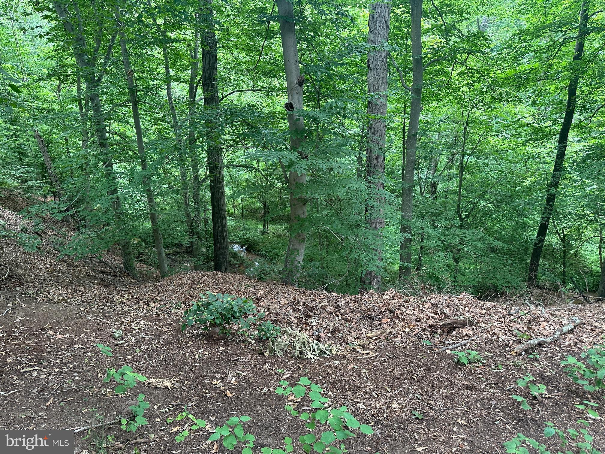 HOLLAND CLIFF SHORES - Residential