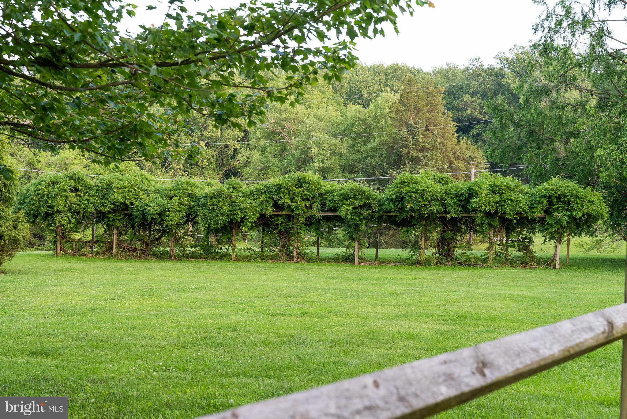 GREENSPRING VALLEY - Residential