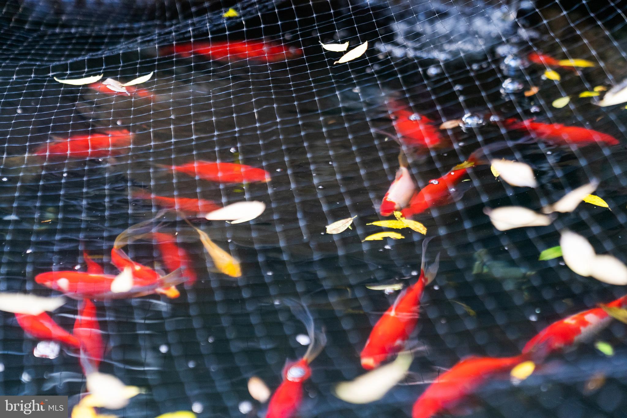 GREENSPRING VALLEY - Residential