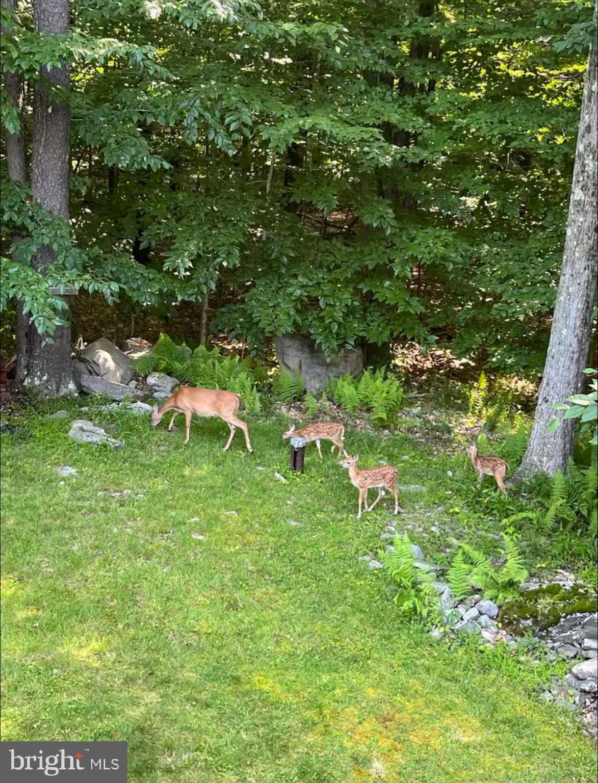 POCONO COUNTRY PLACE - Residential