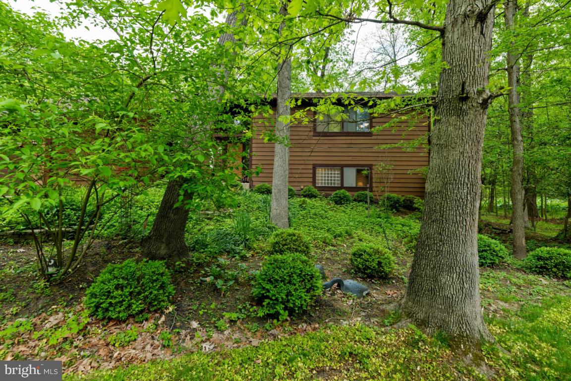 CLEMENS CROSSING - Residential