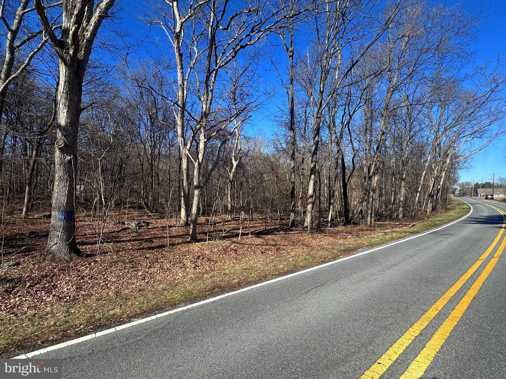 COLLEGE ROAD