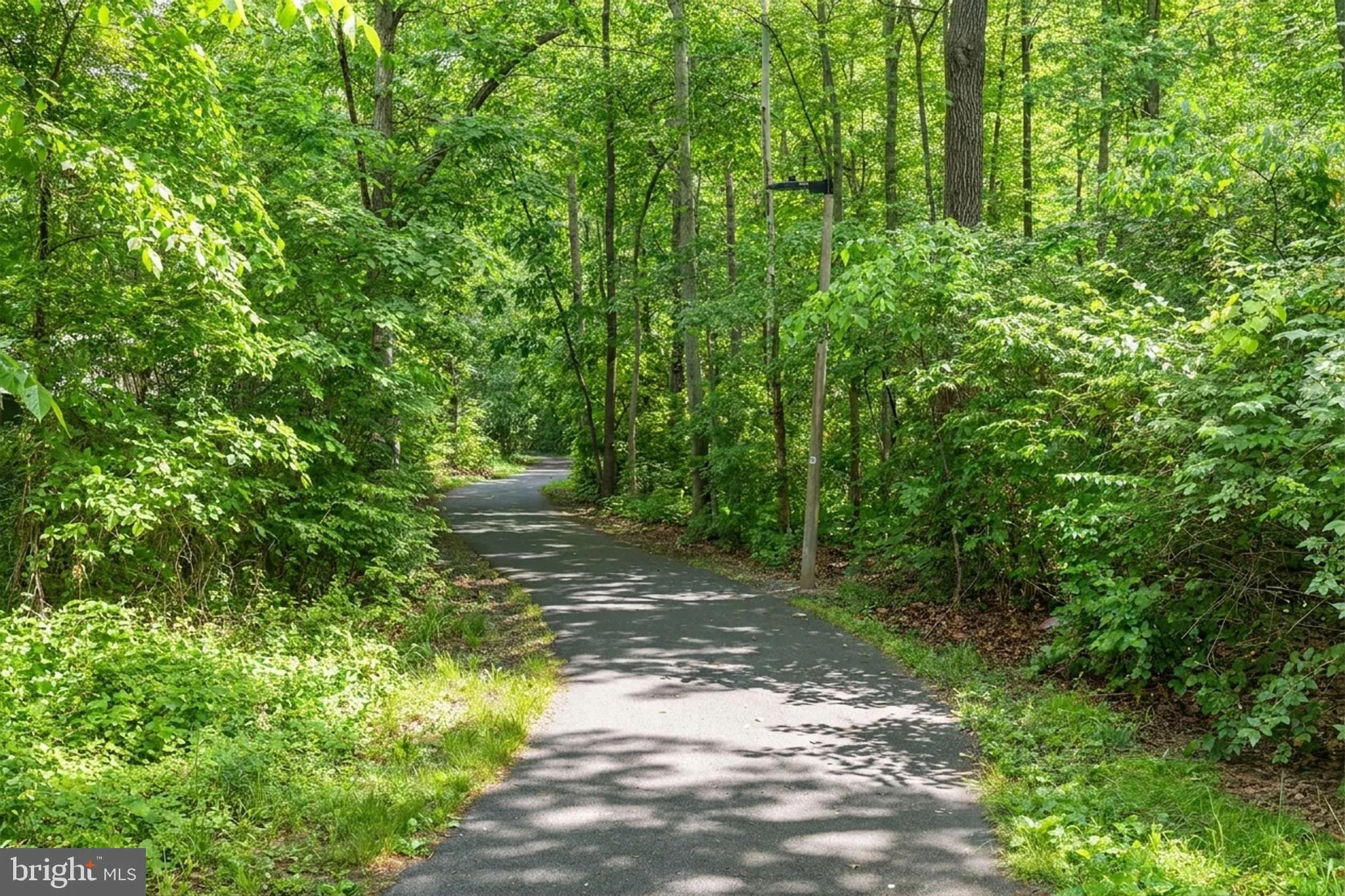 Additional image 116 of 12265 Angel Wing Court, Reston, VA 20191