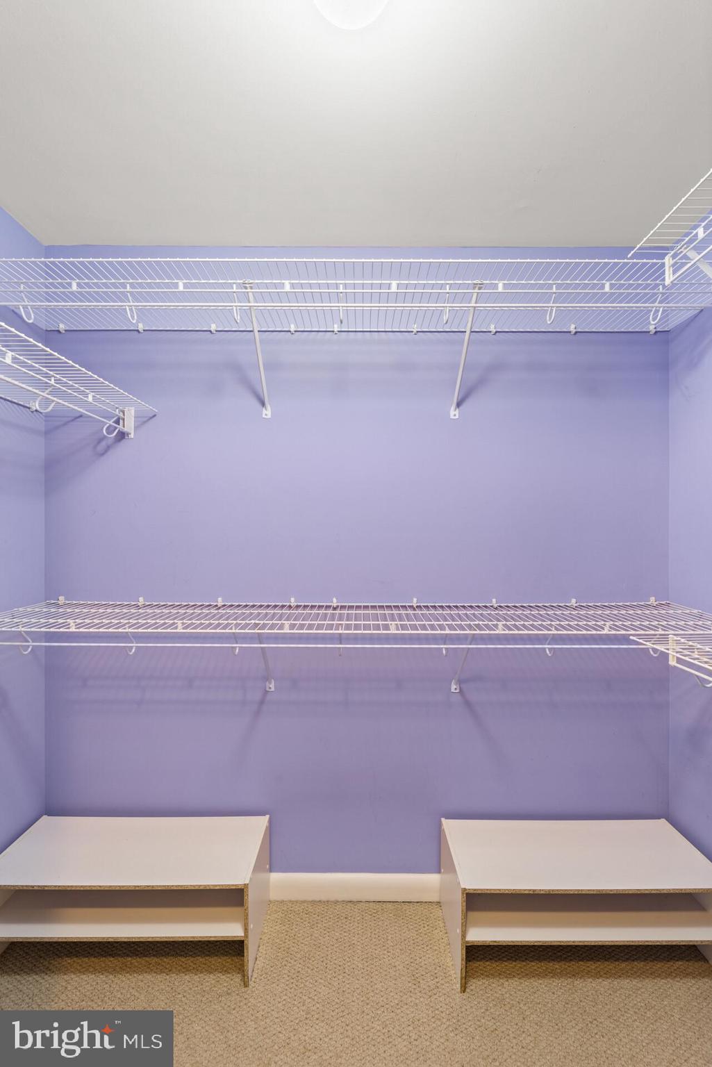 CLARENDON - Residential Lease