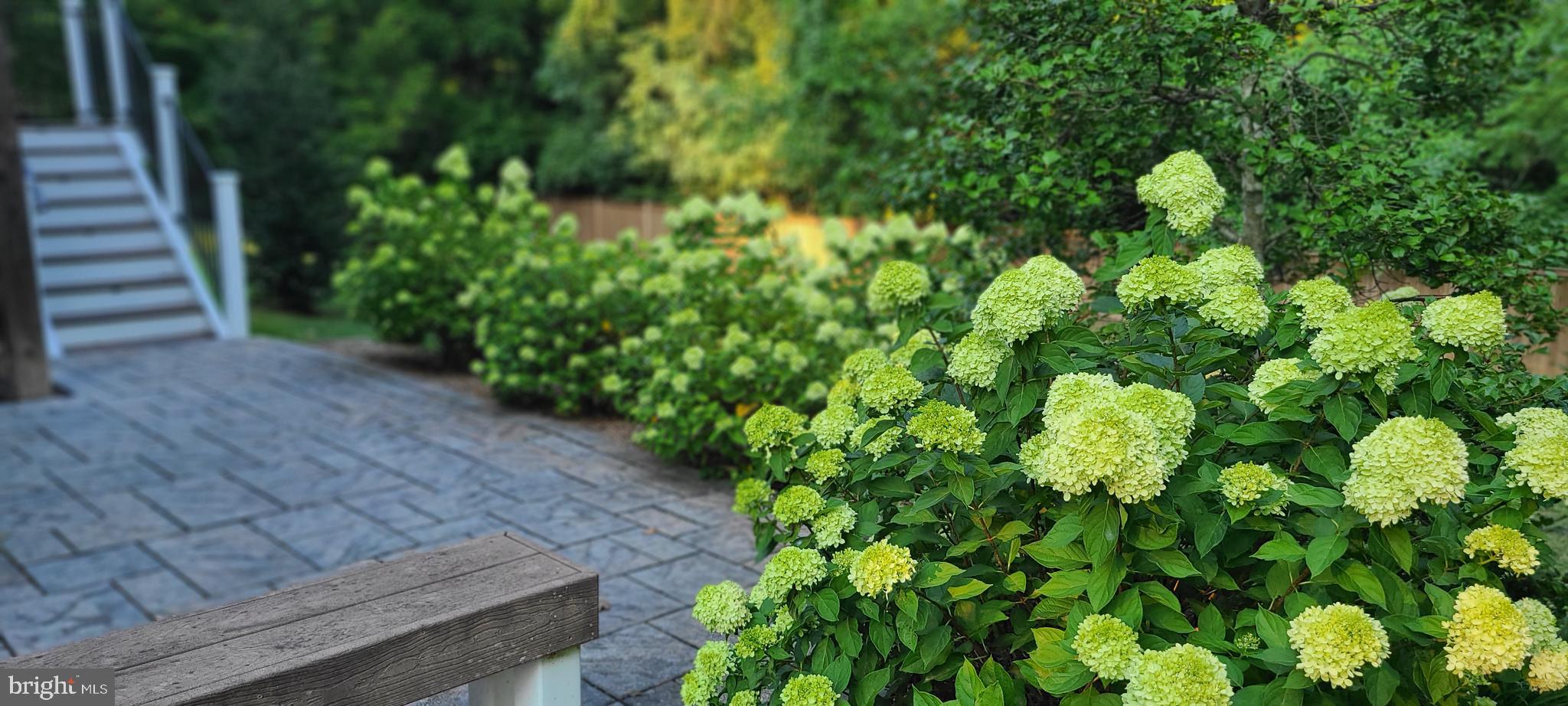 LEWINSVILLE HEIGHTS - Residential