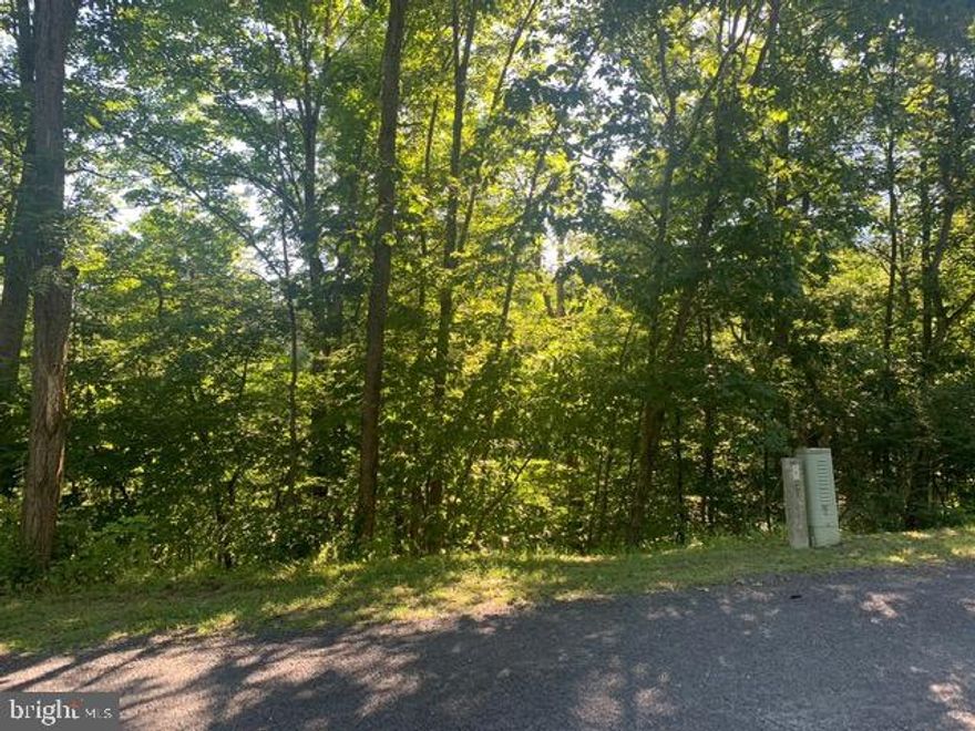 TWO adjacent lots (over 0.64 acre) being sold together on Vickie Way near Lake Laura.   A quick 5 minute walk will take you to the entrance of the path to Lake Laura!  One lot also has frontage on Richmon Rd.  Come  build your tree top escape, and enjoy the serenity of the Lake, as well as all of the activities the resort has to offer. HOA fee is per vacant lot