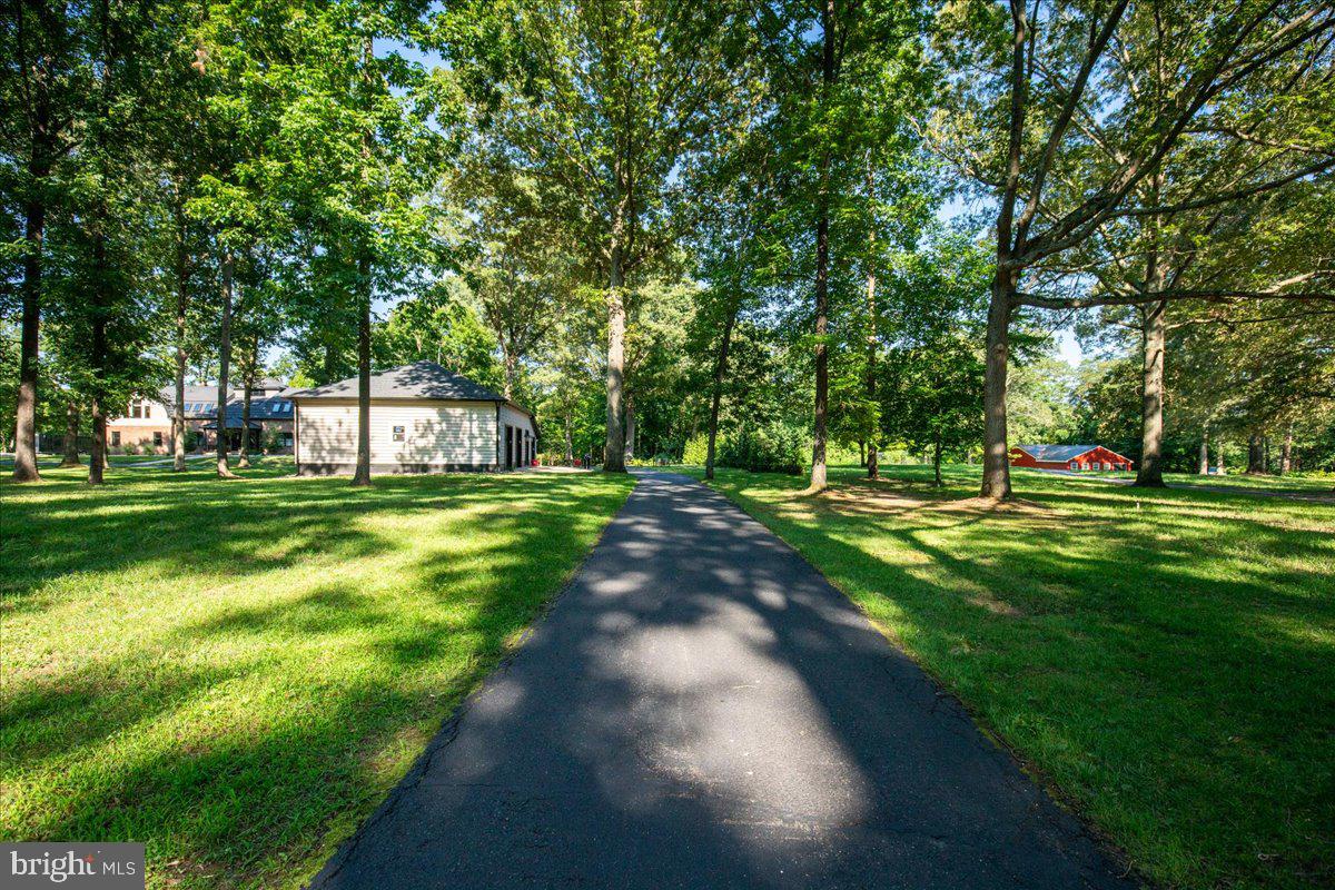 7785 SWAN LANE