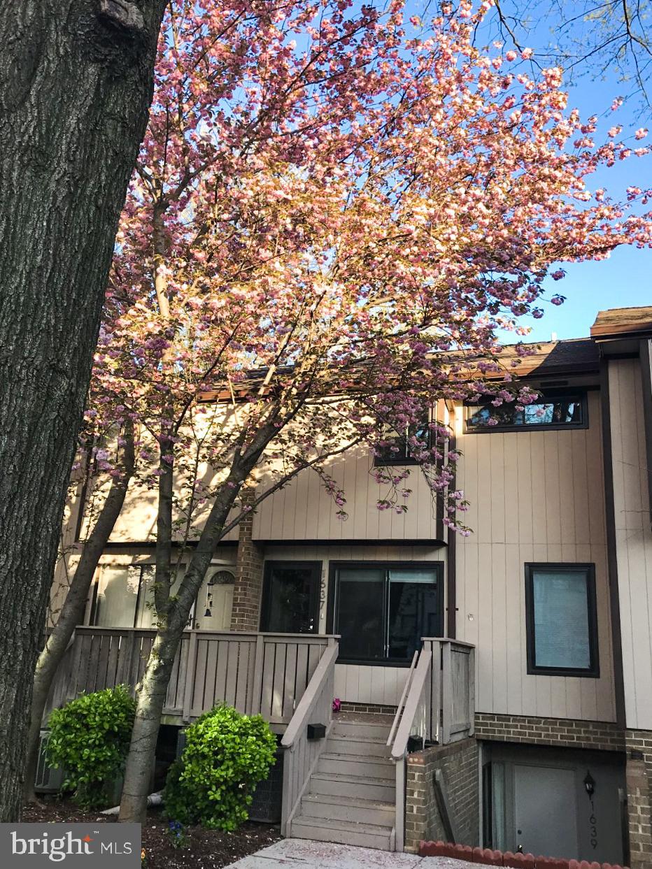 THE WESTERLIES - Residential Lease