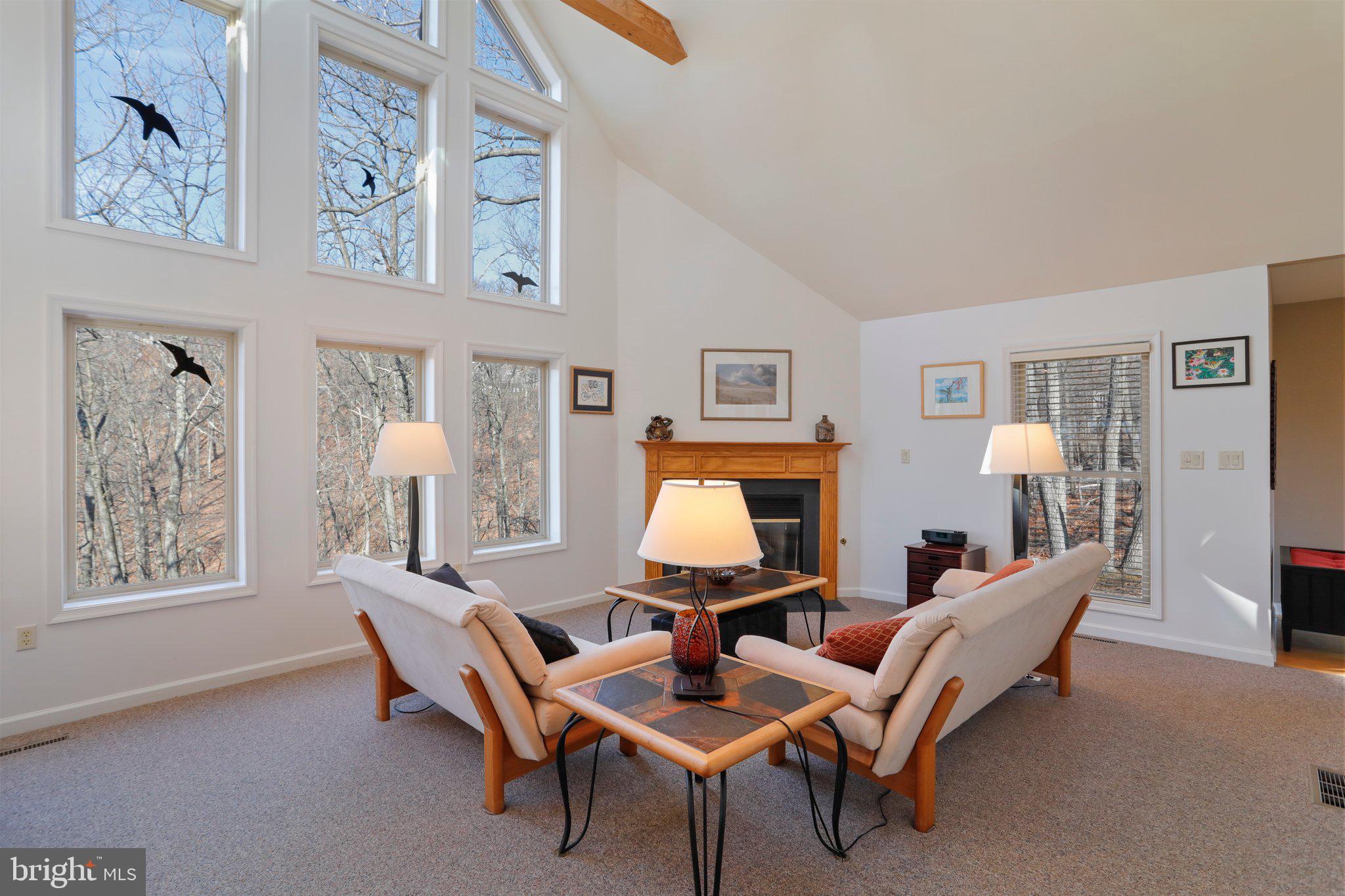 THE WOODS - Residential