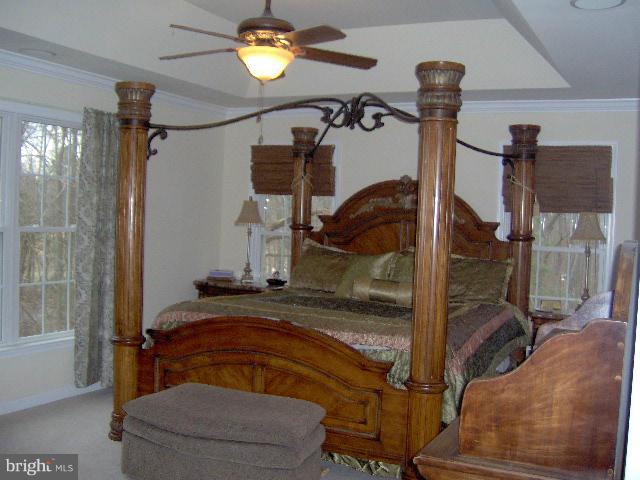 TALL PINES - Residential