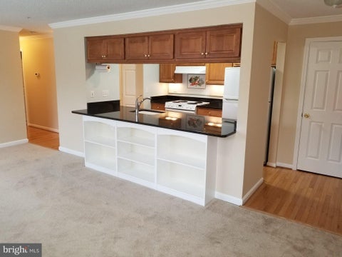 Condo For Rent - 2603 Camelback Lane #5<br/> SILVER SPRING, MD 20906