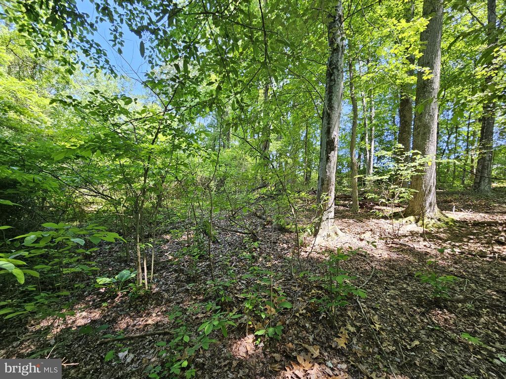 Photo of 0 Sandy Run, YARDLEY, PA 19067 (MLS # PABU2098286)