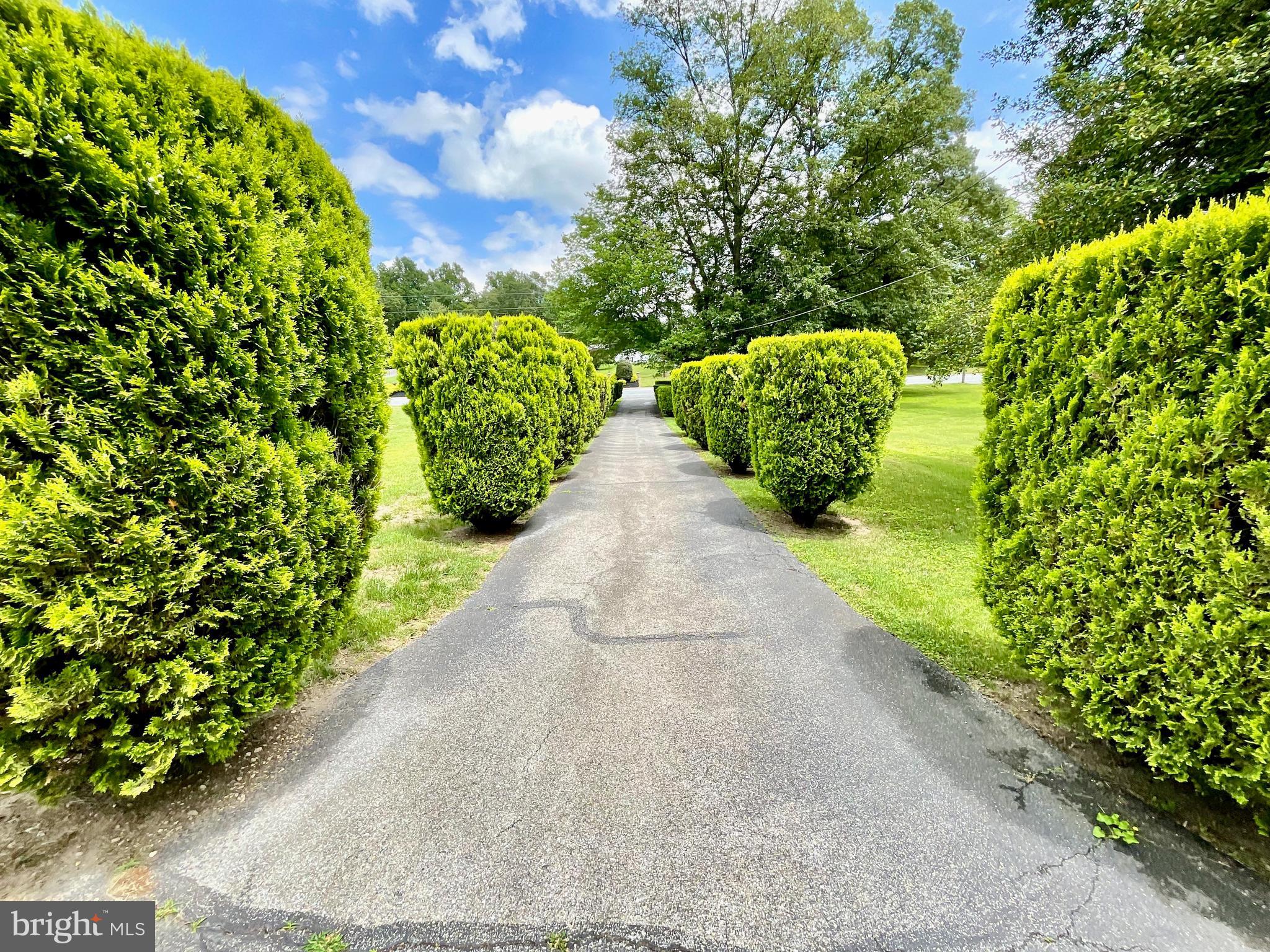 FOREST PARK - Residential