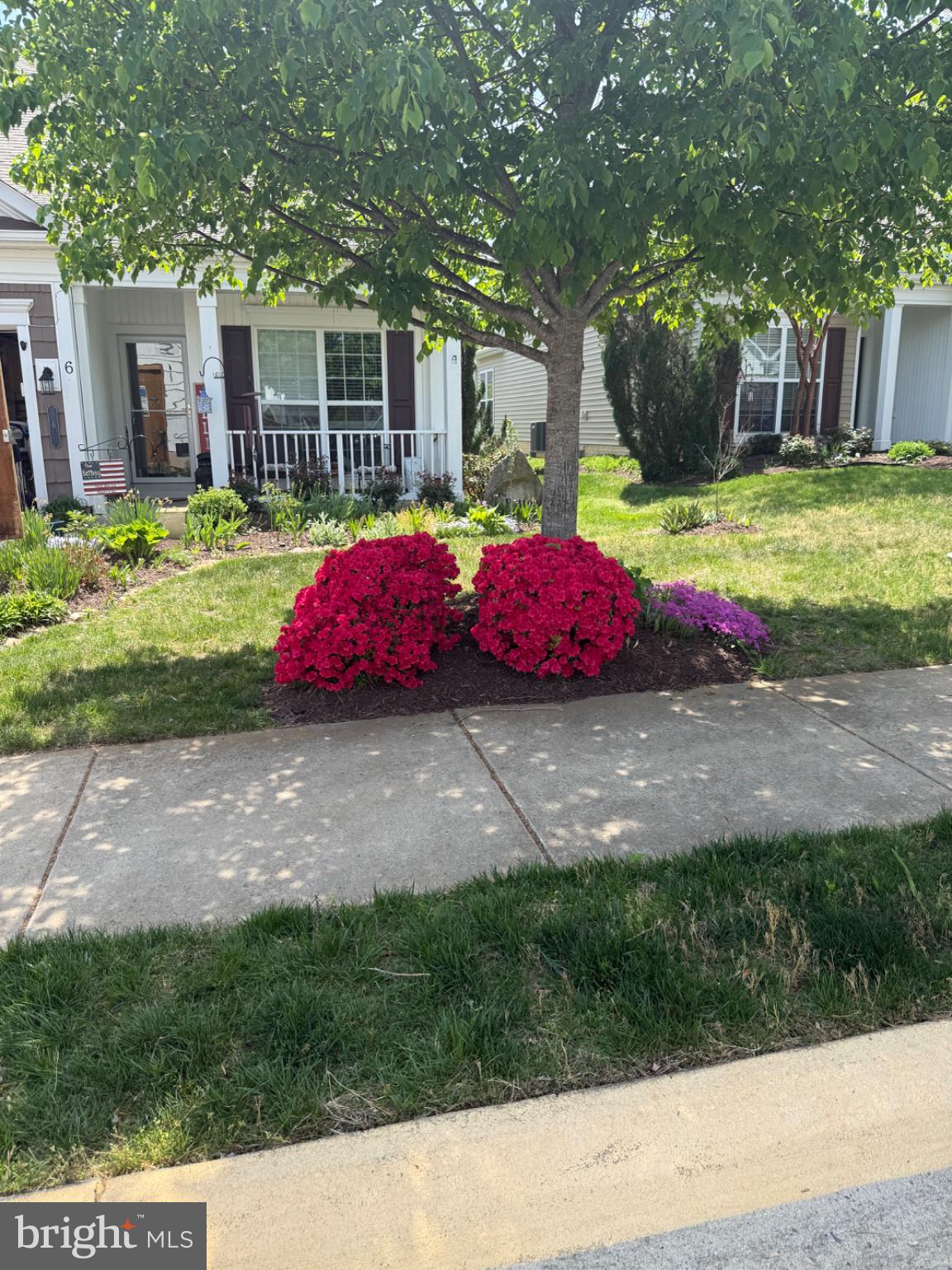 CELEBRATE VIRGINIA NORTH - Residential