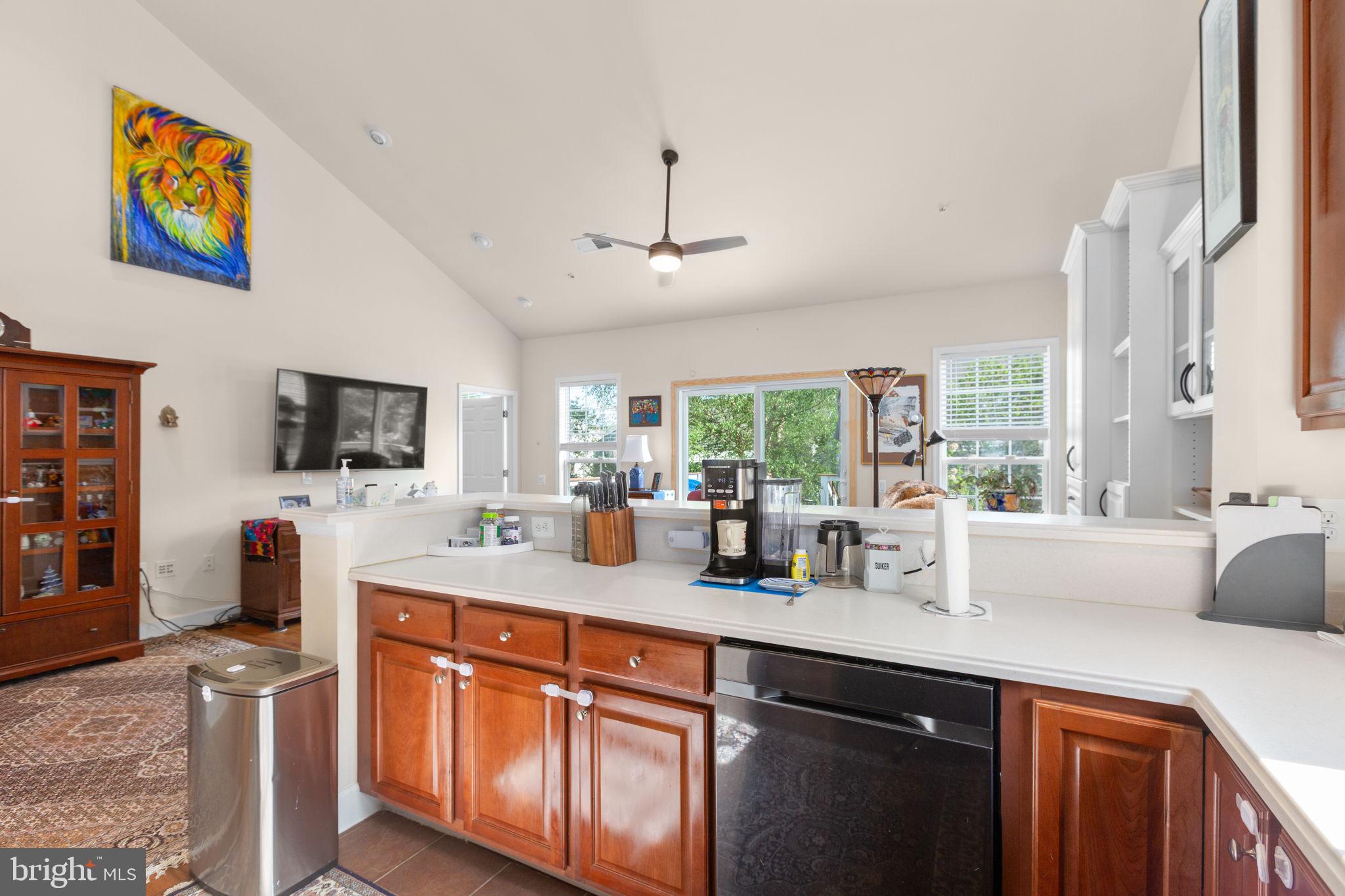 CELEBRATE VIRGINIA NORTH - Residential