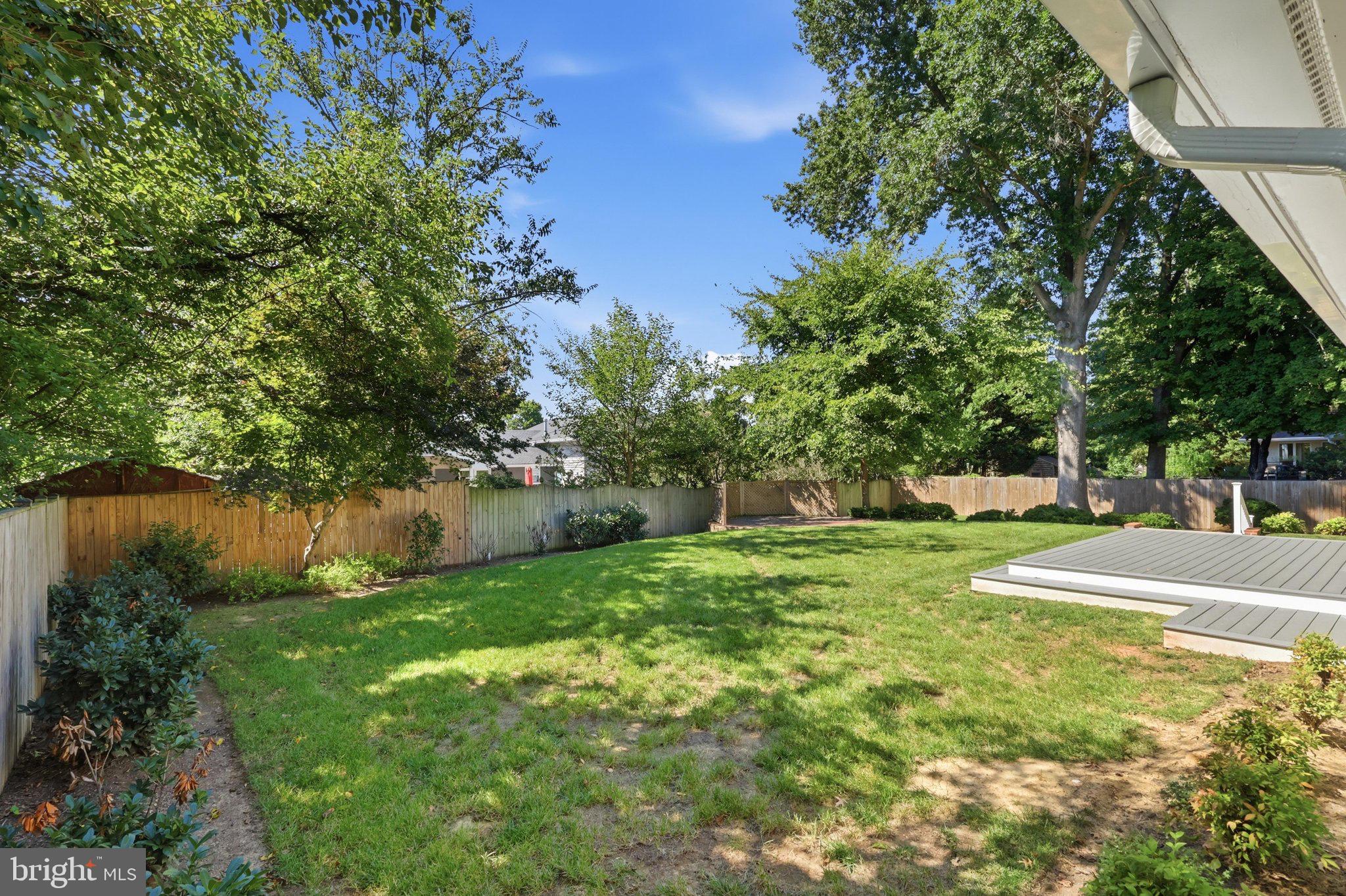 1003 COLLINGWOOD ROAD
