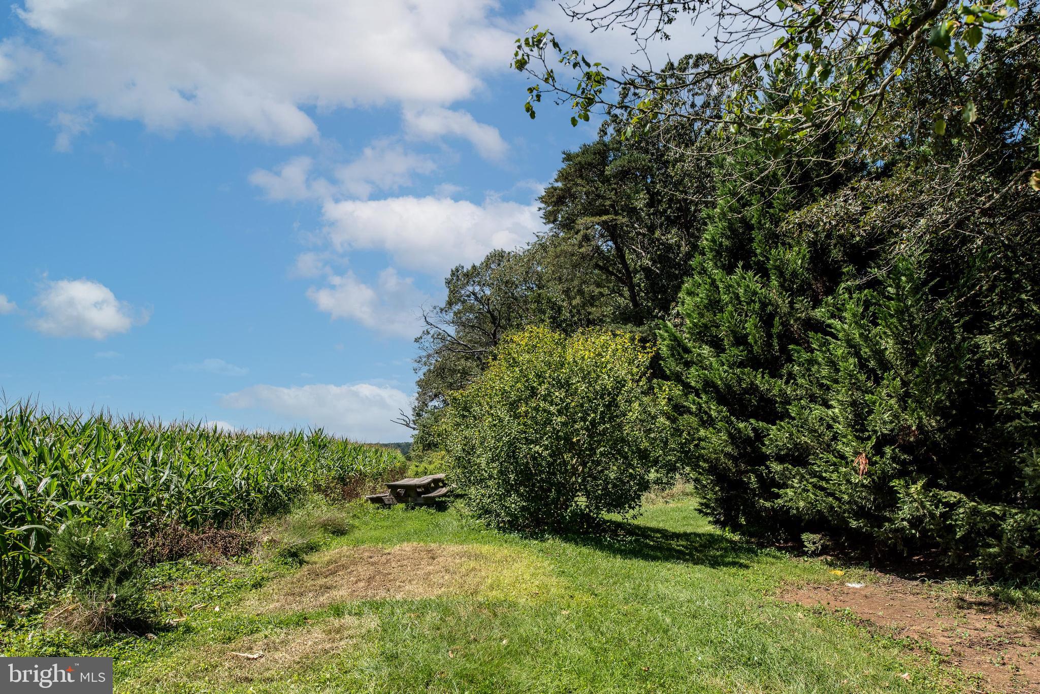 FOX CHASE - Residential