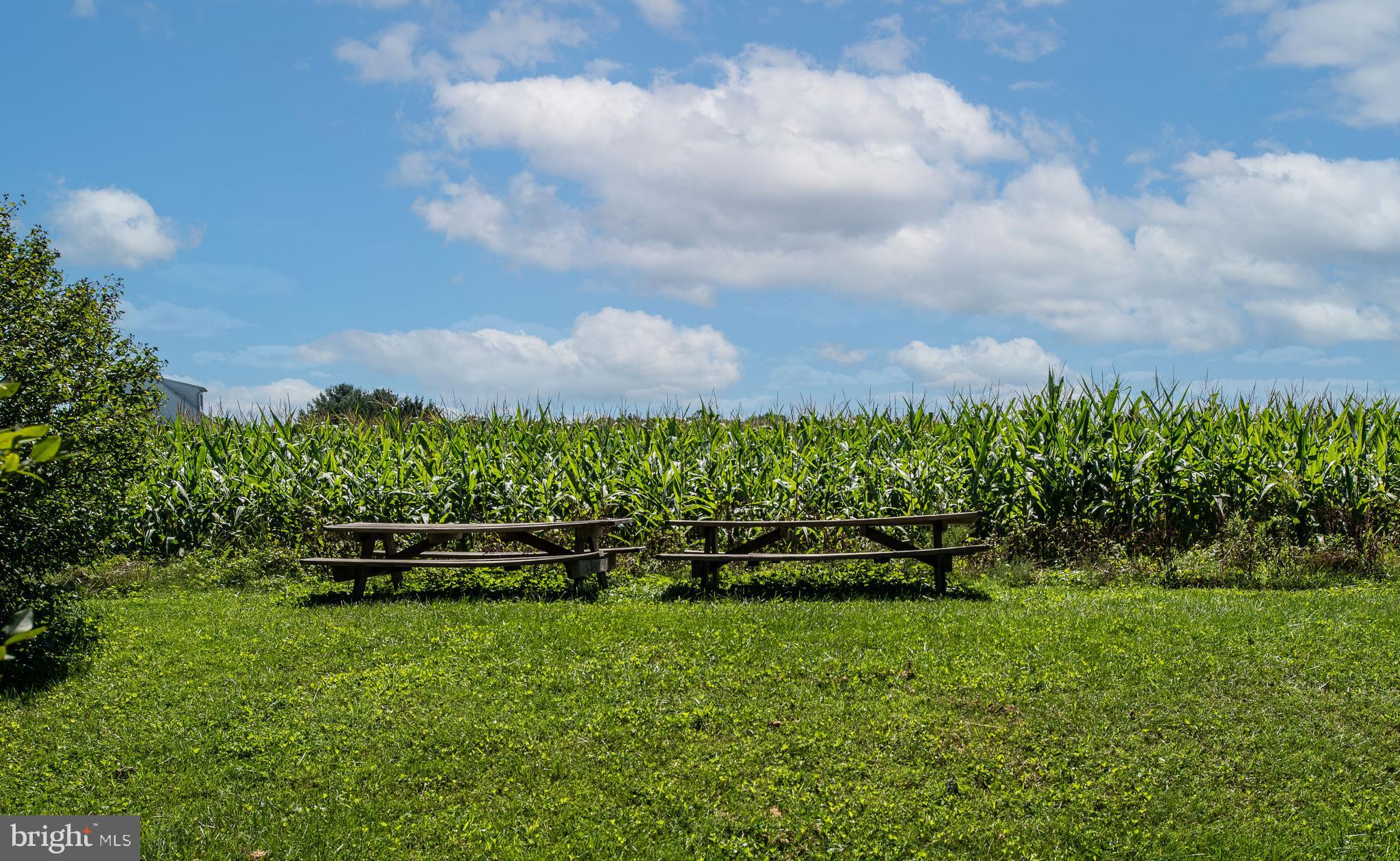 FOX CHASE - Residential