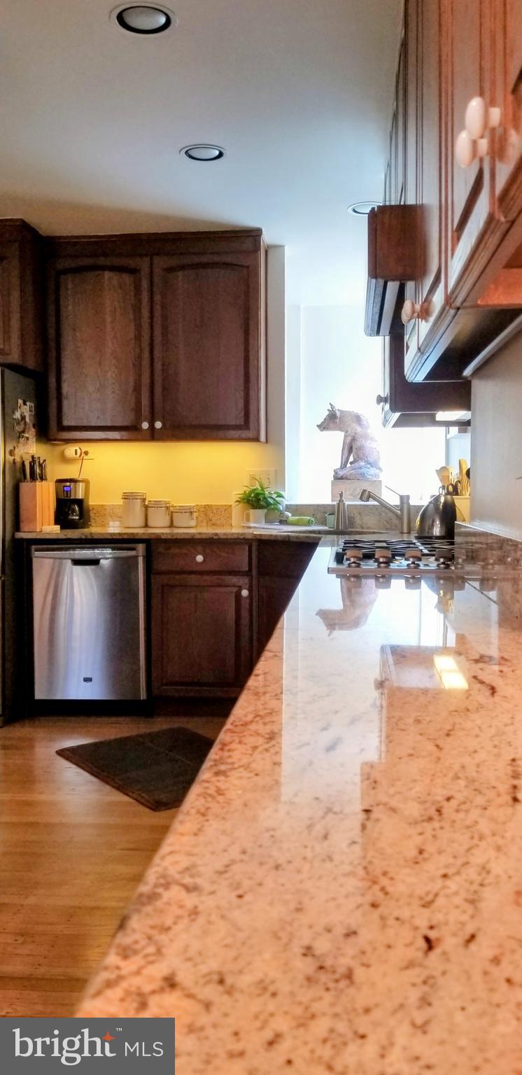 SOCIETY HILL - Residential