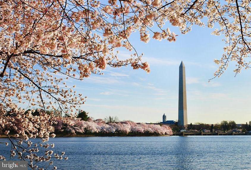 WOOD GLEN - Residential