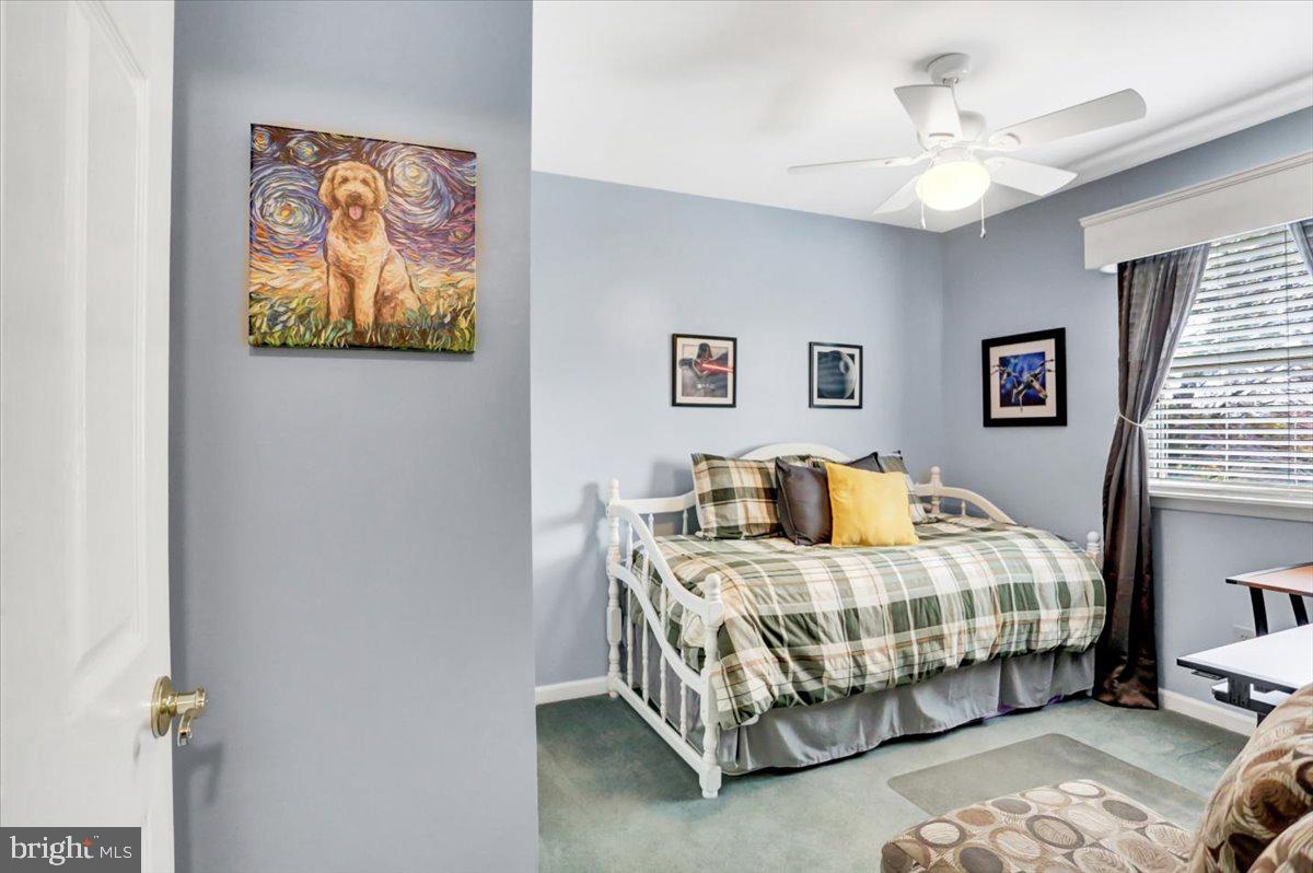 MOWER MEADOWS - Residential